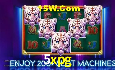 Experiência VIP 5xpg